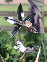 r. Orchid and Dragonfly close up.jpg